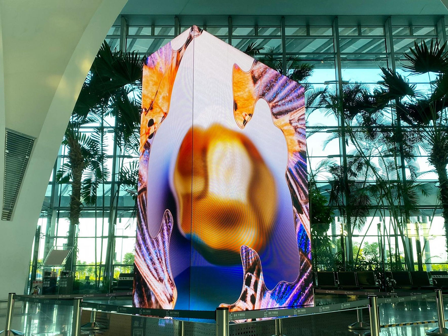 「白晝之夜」策展經驗分享4